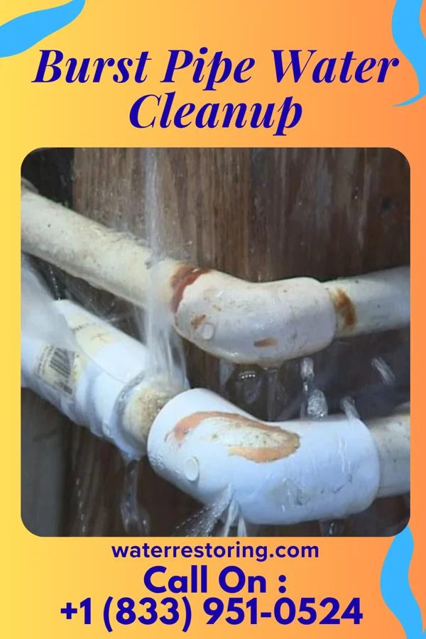 Burst Pipe Water Cleanup in Emerald Beach, MO