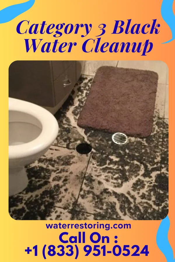 Category 3 Black Water Cleanup in Emerald Beach, MO